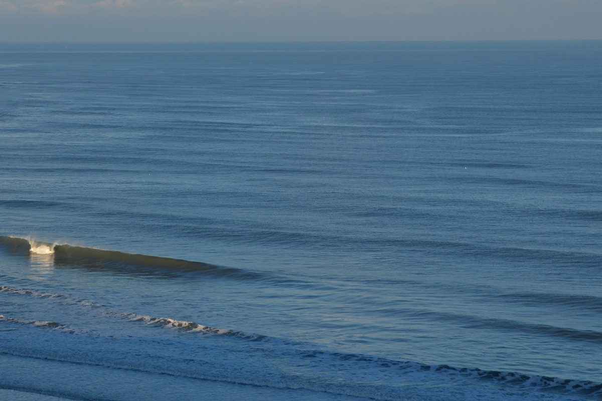 Punchy goodness after a major wave drought