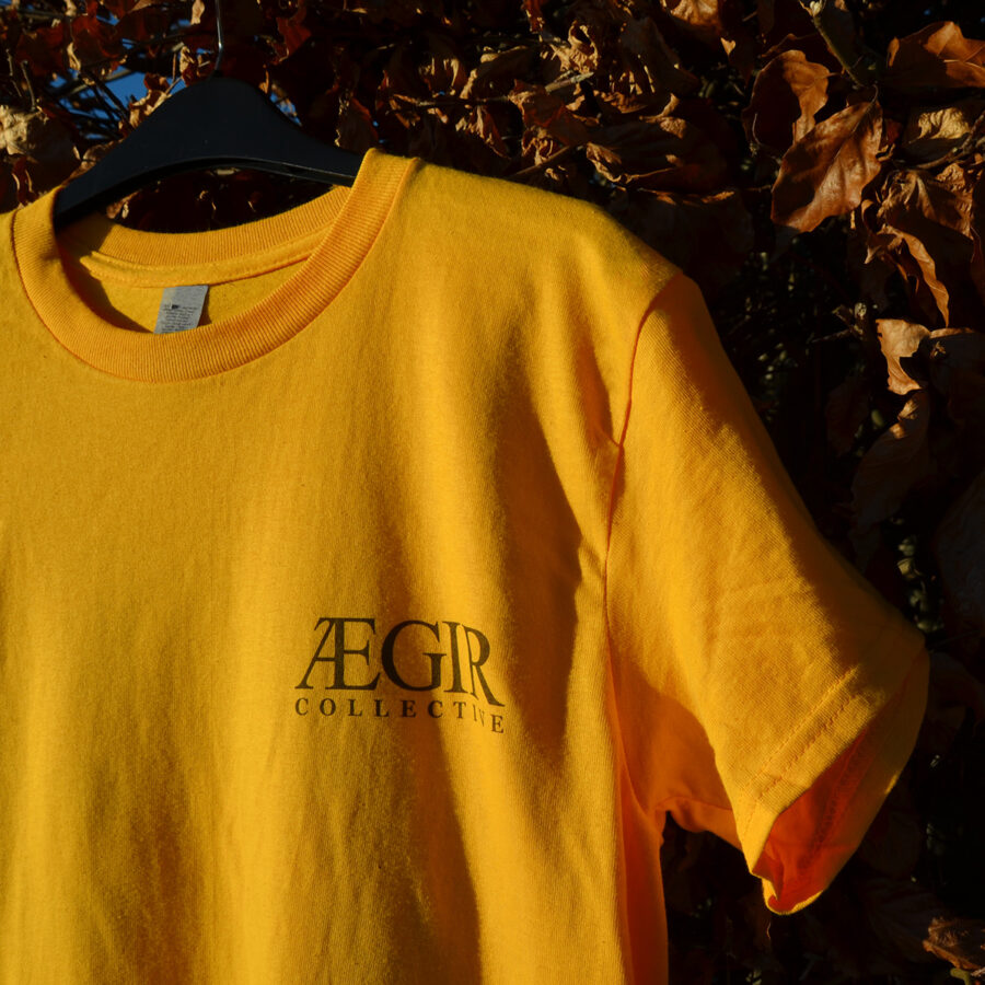 Vegvisir Premium Tee in Black on Morning Gold (Front View)